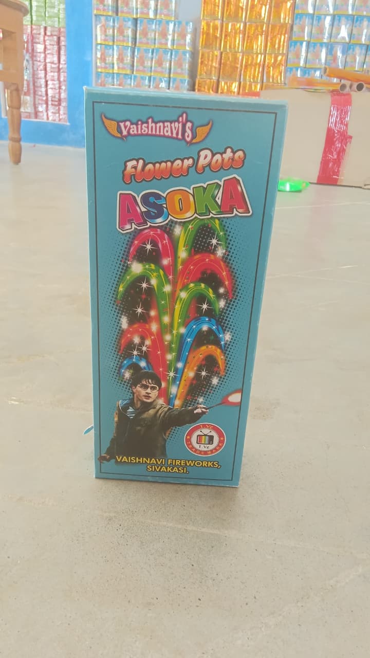 Flower Pot Asoka